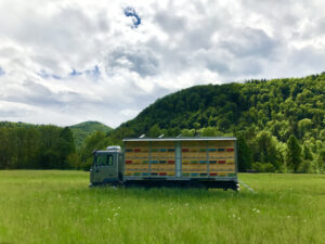 Urška Intihar beekeeping truck